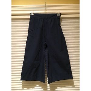 madewell wide leg crops